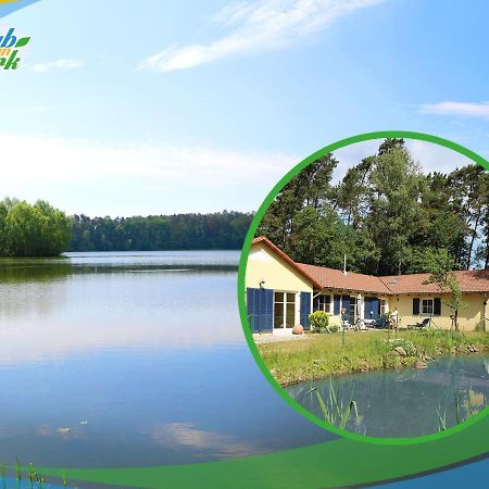 Familien-Suite-Im-Wald-Am-See Bork Exteriör bild