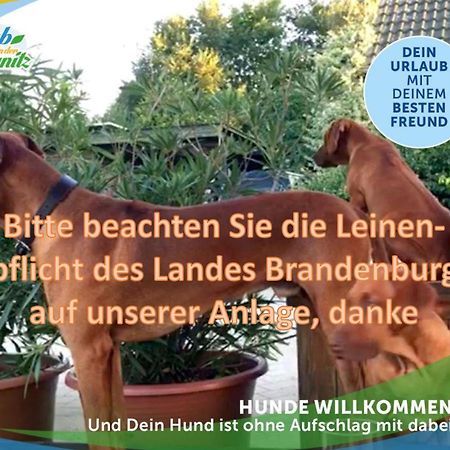 Familien-Suite-Im-Wald-Am-See Bork Exteriör bild